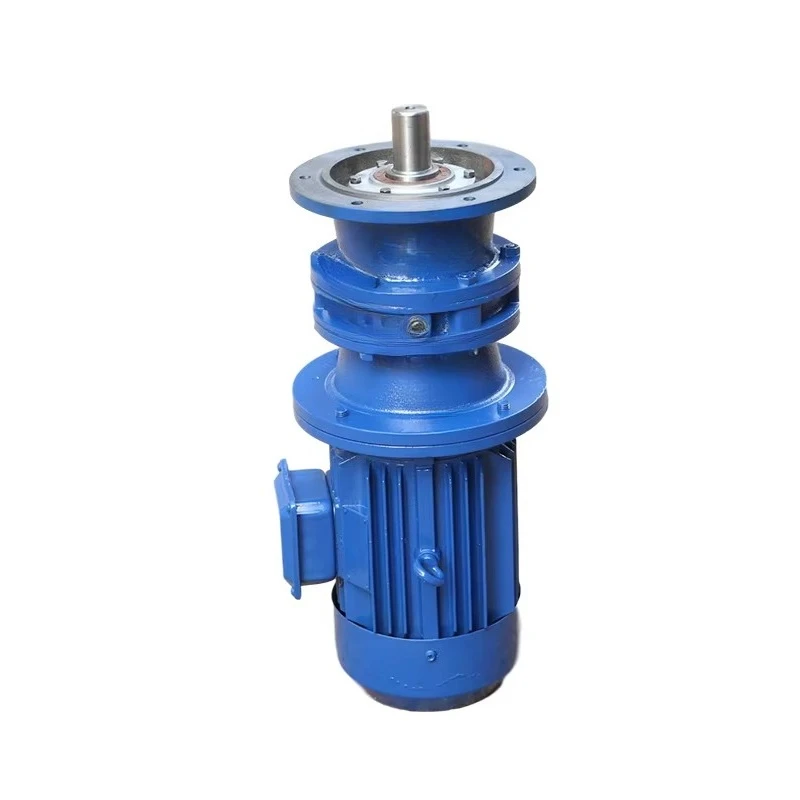 Vertical reducer motor, cycloid X8 BLD5 reducer shaft 90mm 380v gear motor