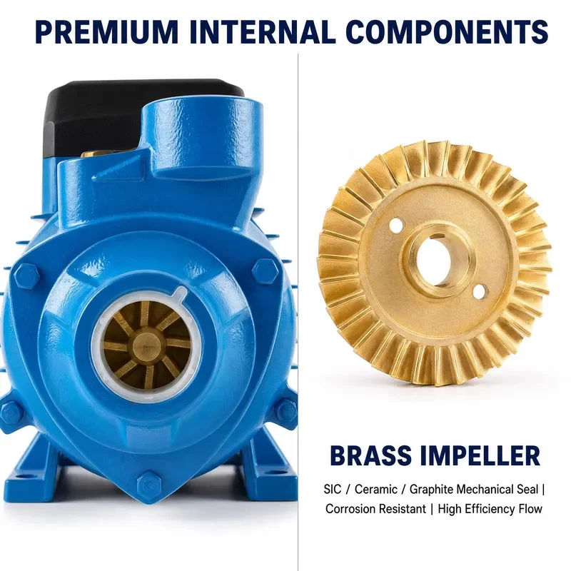 Peripheral QB80 50HZ Agriculture Stainless Cast Iron Irrigation 60 Top Sale 0.5 0.75HP Single Phase Electric Motor Water