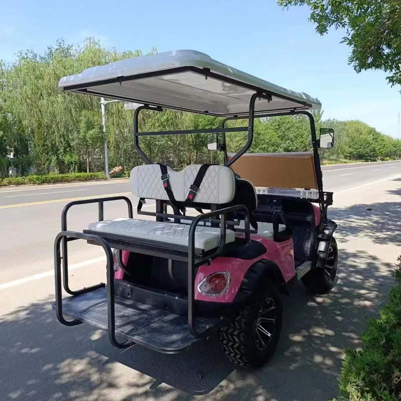 شاندونغ مبيعات المصنع مباشرة 2 + 2 مقاعد عربة جولف كهربائية مع محرك تيار متردد قوي 5KW