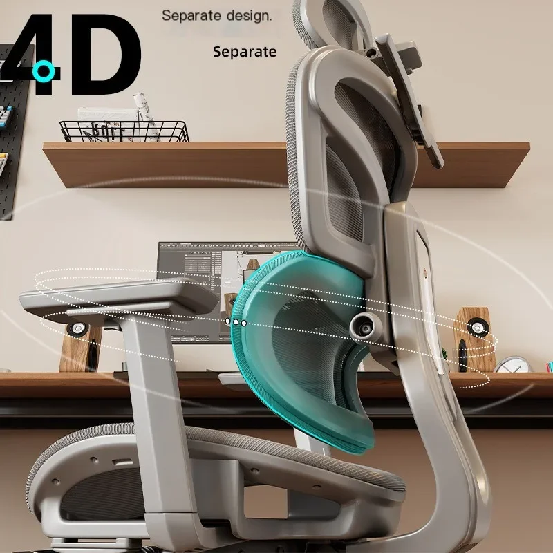 Sedia ergonomica Supporto lombare Sedia per computer Comfort domestico per seduta lunga Bureaustoel regolabile Forniture per la casa e l'ufficio