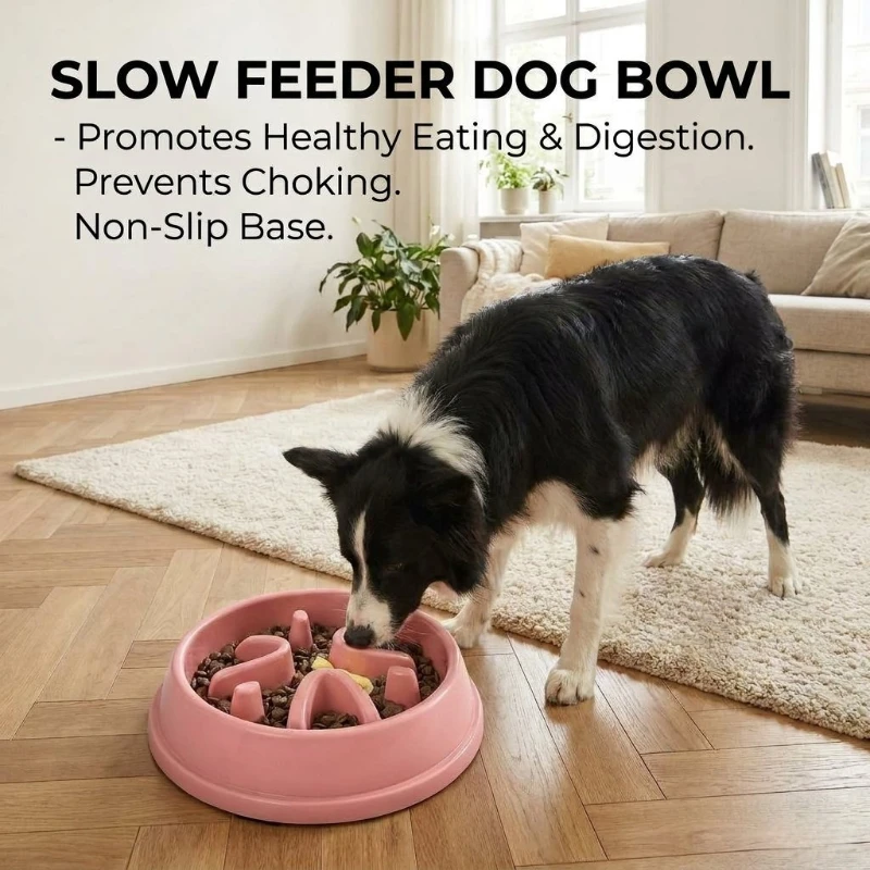 Royal Canin Food Medium - Healthy Dog Slow Feeder Bowl Anti-choking