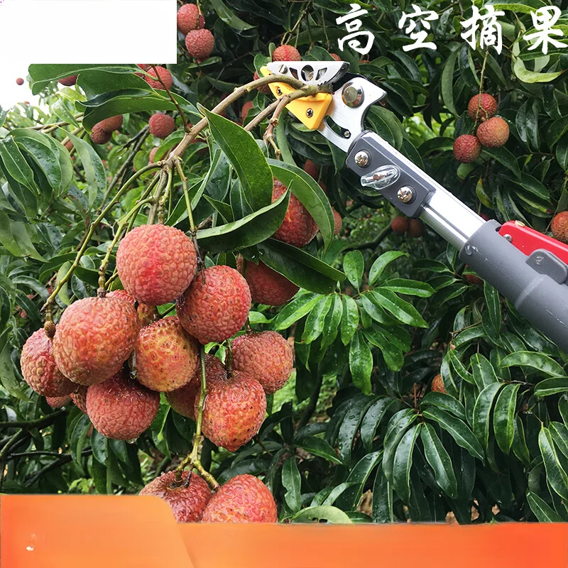 

high branch scissors, pruning, telescopic picking, longan lychee, high-altitude fruit picker