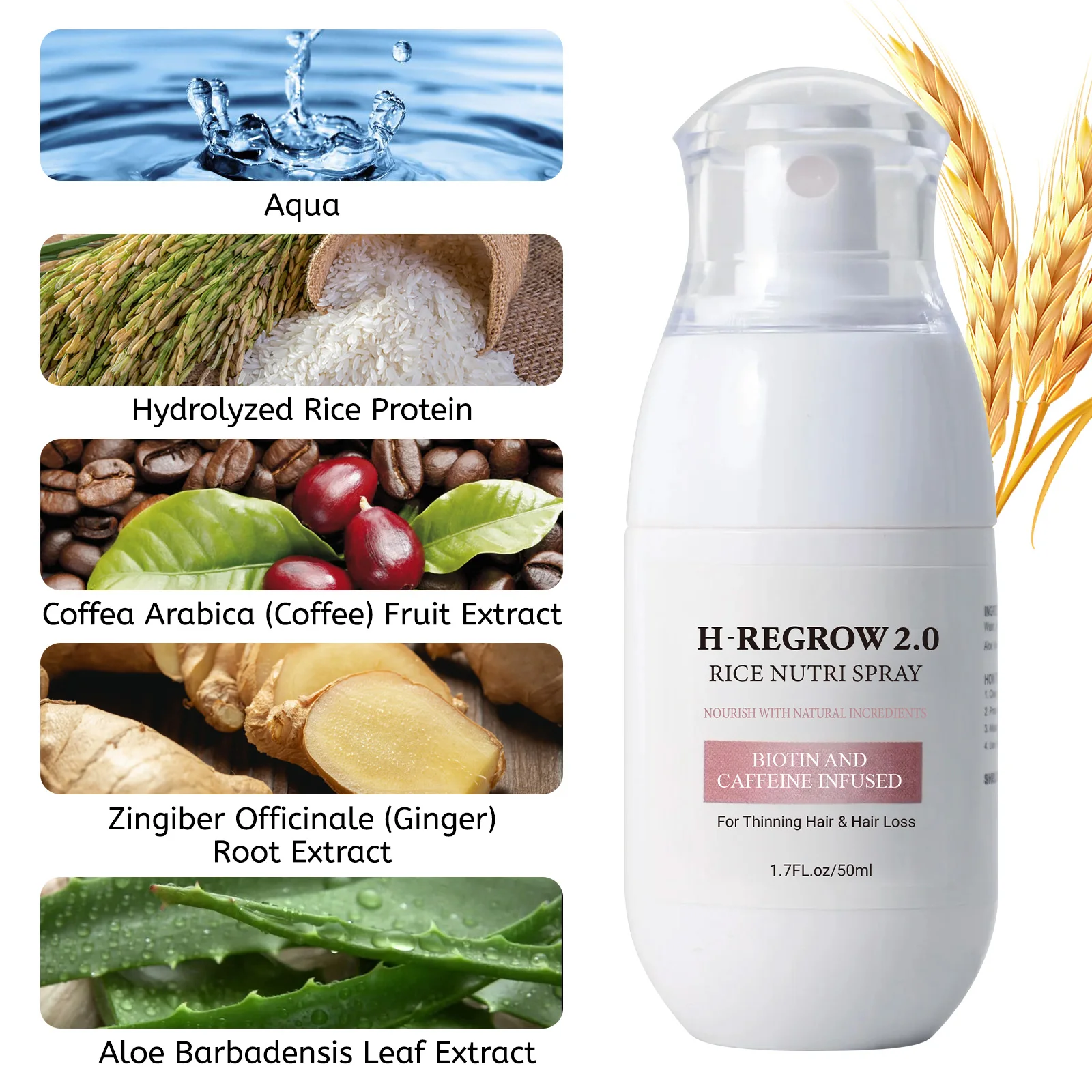 Spray naturel de croissance des cheveux au riz et à la biotine 50 ml - Traitement anti-chute avec extrait de caféine et de gingembre pour cheveux clairsemés