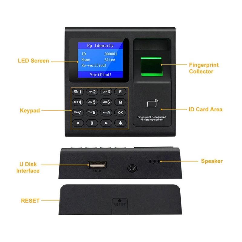 Fingerprint Machine com 1000 Capacidade, Access Control, RFID Keypad, USB Data Manager