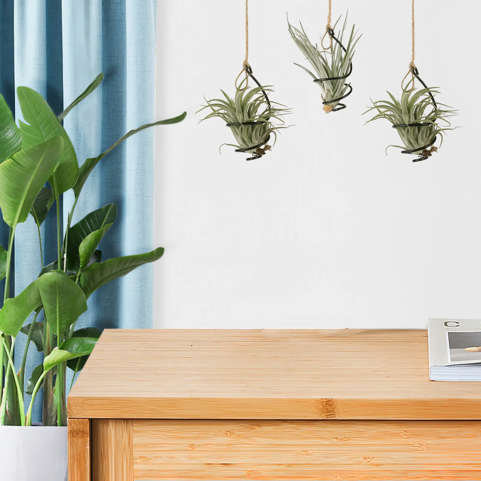 conjunto-de-12-suportes-espirais-de-metal-para-exposicao-de-plantas-aereas-sem-solo-suporte-para-tillandsia-para-sala-de-estar-escritorio-em-casa-parede-de-plantas-internas