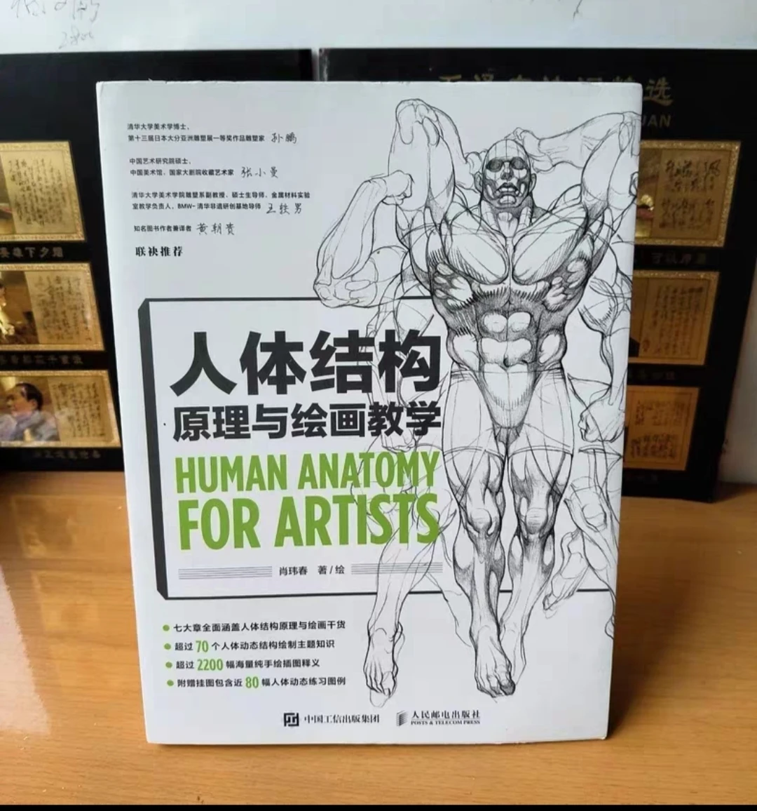 

Учебник по рисованию: Принципы анатомии человека. Руководство по рисованию от китайского мастера Сяо Вэйчуна. Художественное искусство человека. Бриджман. Аниме.