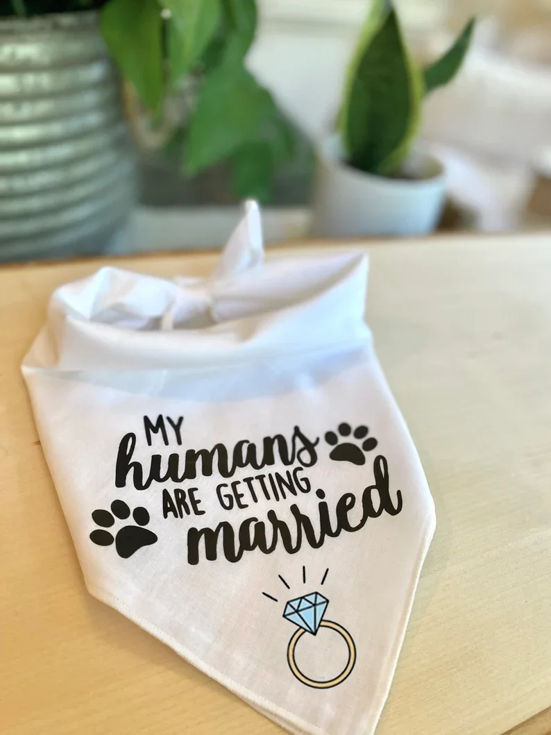 Thumbnail 2 - #3 Trending Dog Bandanas Right Now