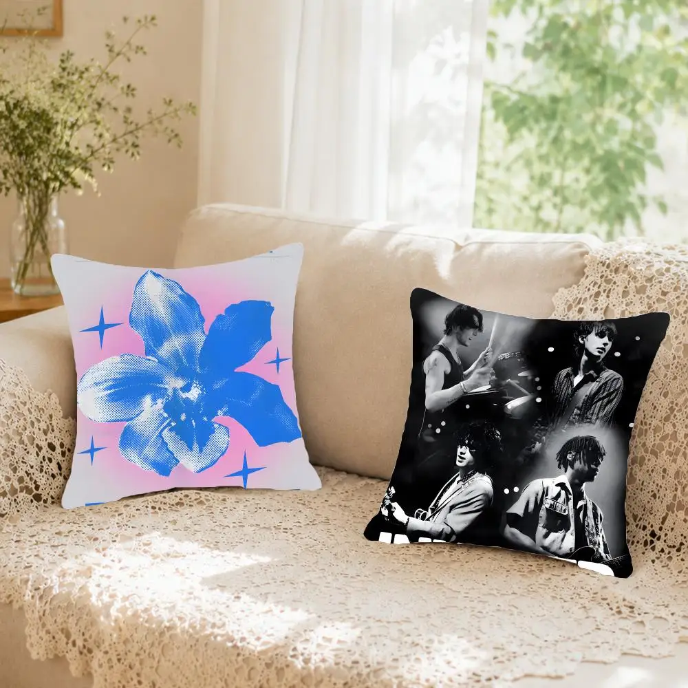 Indie band Inhaler Cushion Cover Faux fur decorative Dark academia style Cat scratching post Rustic Spa pillow cover
