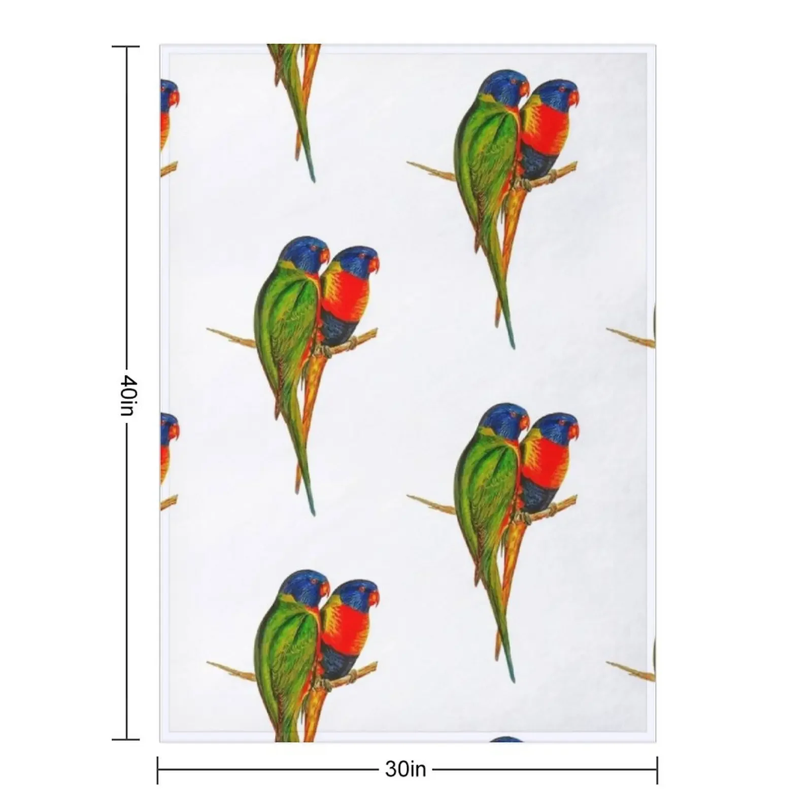 Rainbow Lorikeet Bird Australian Throw Blanket blankets and throws sofa bed For Baby Weighted Blankets