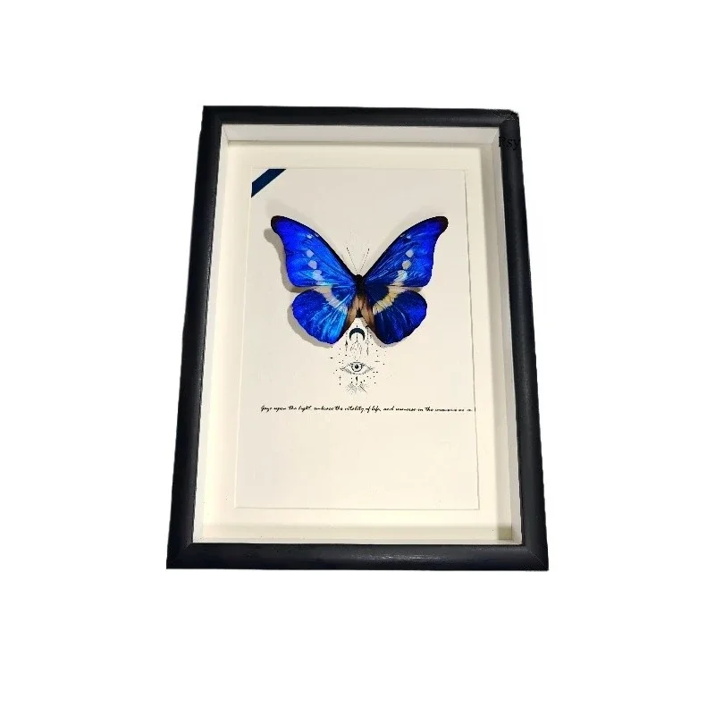 True butterfly specimen rare birthday gift handmade display frame ornament decorative painting
