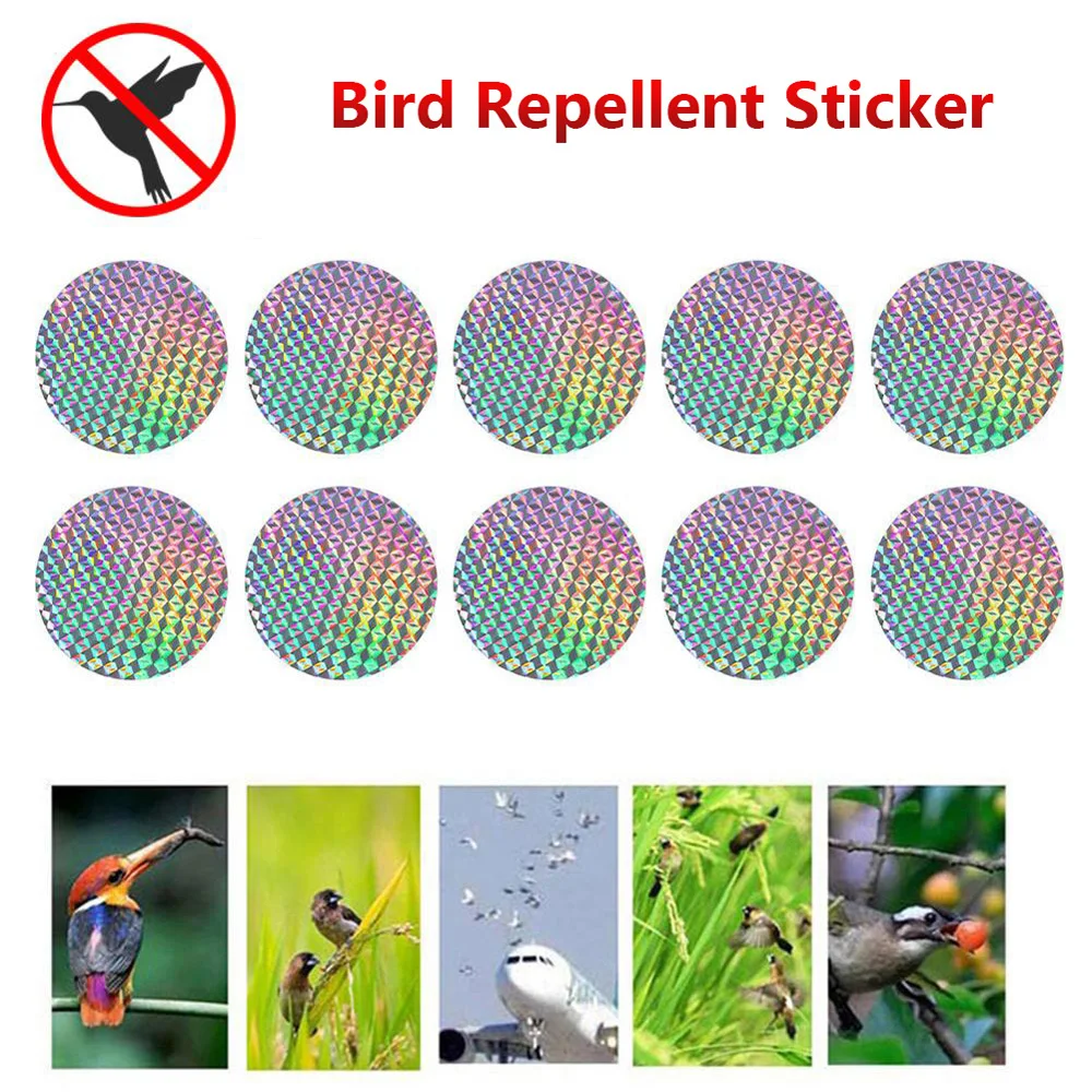 For Garden Courtyard Window Car Anti Bird Outdoor Bird Repellent Discs Bird Scare Sticker Deterrent Reflector Pest Control view 4