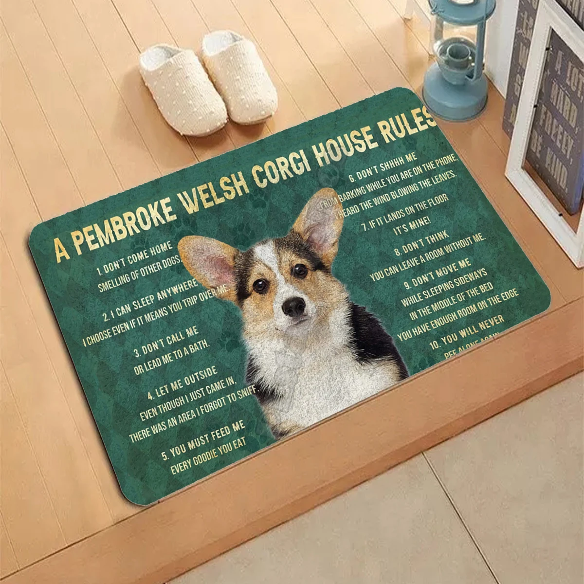 Japan Shiba Inu  Doormat 3D Decor Print Pet Carpet Soft Flannel Non-Slip Doormats for Bedroom Porch