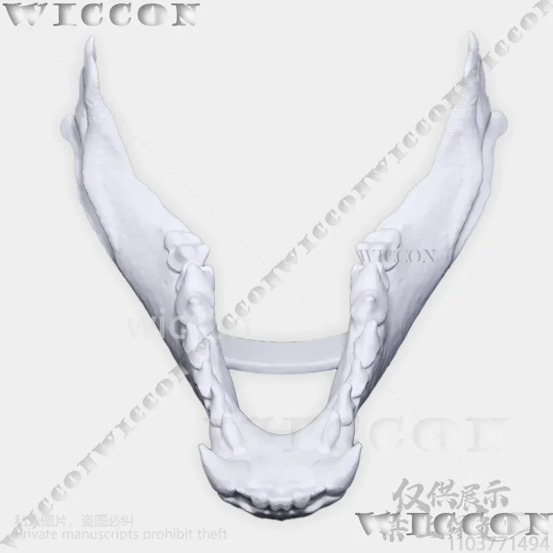 Animal Furry Cosplay Dog Skull Kigurumi Prop Polylactic Acid Mask 3D Print Head Fursuit Halloween Party Cos Men Customizeds;3,k;