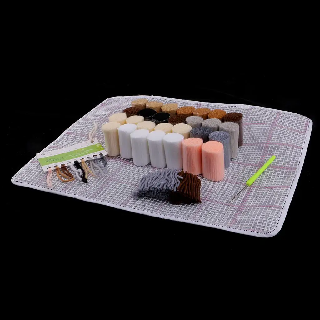 Latch Hook Kits 50x36cm DIY Pillow Mat Craft Set with Printed Canvas for Cushion Carpet Rug Making Beginners Friendly