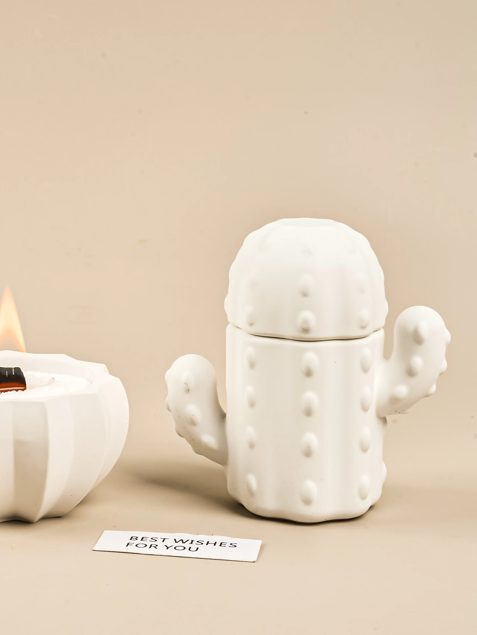 3D Cactus Candle Jar Silicone Mold Simulation Plant Storage Box Ornaments Resin Mold Pen Holder Crafts Making Tools Home Decor