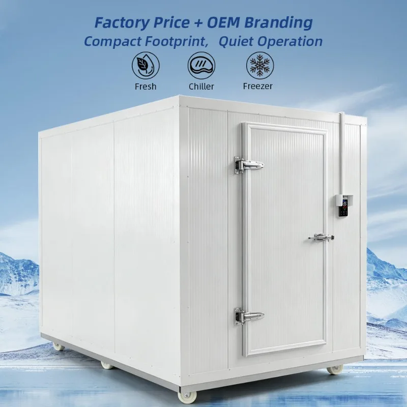 Mobile Cold Room With Wheels Portable Walk In Freezer For Fruit Vegetable Seafood Meat Fresh Keeping Storage