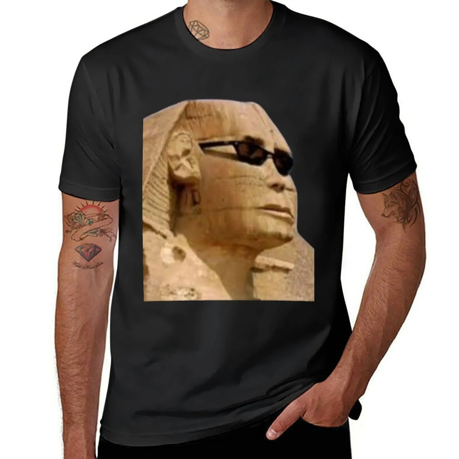 Sphinx statue, Egyptian pharaonic pictures T-Shirt shirts graphic tees summer top oversized aesthetic clothes mens tall t shirts