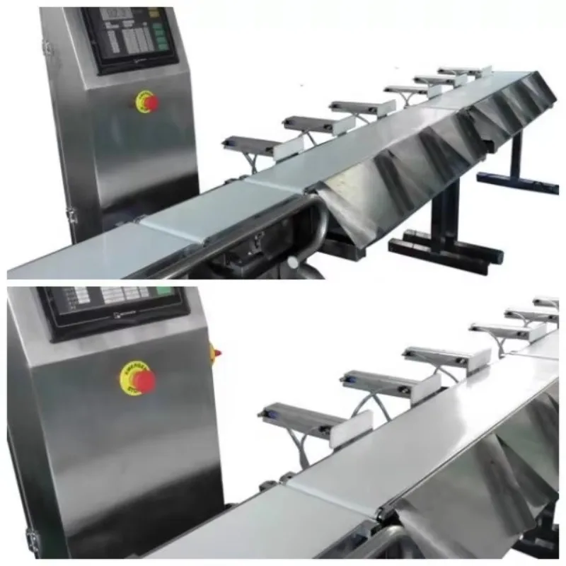 Touch Screen Weight Grader Smart Control Food-Grade 304 SS Commercial Supermarket Distribution Small Seafood Farm Use