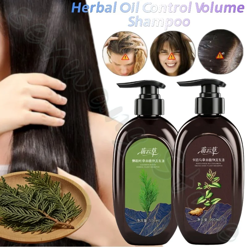 Platycladus orientalis leaf and Polygonum multiflorum natural herbal shampoo soothes hair follicles and improves hair loss 500ml