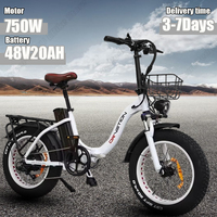 E-bike 750W Brushless Motor 48V20AH Lithium Battery Aluminum Alloy Electric Bike 20*4.0 Inch Fat Tire Folding Electric Bicycle