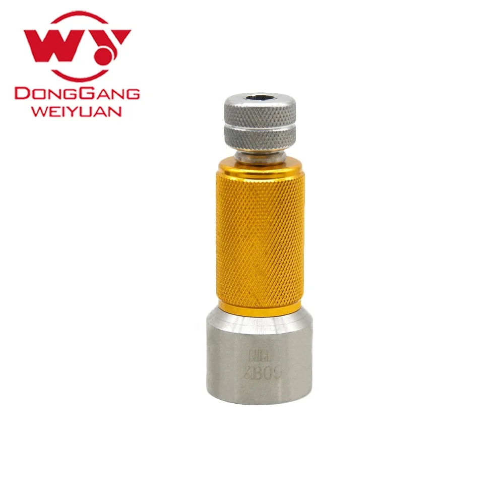 WEIYUAN No.1096(NC008) Common Rail Injector Disassembly Repair Tools for CAT 320D Engine New Condition Pump Type