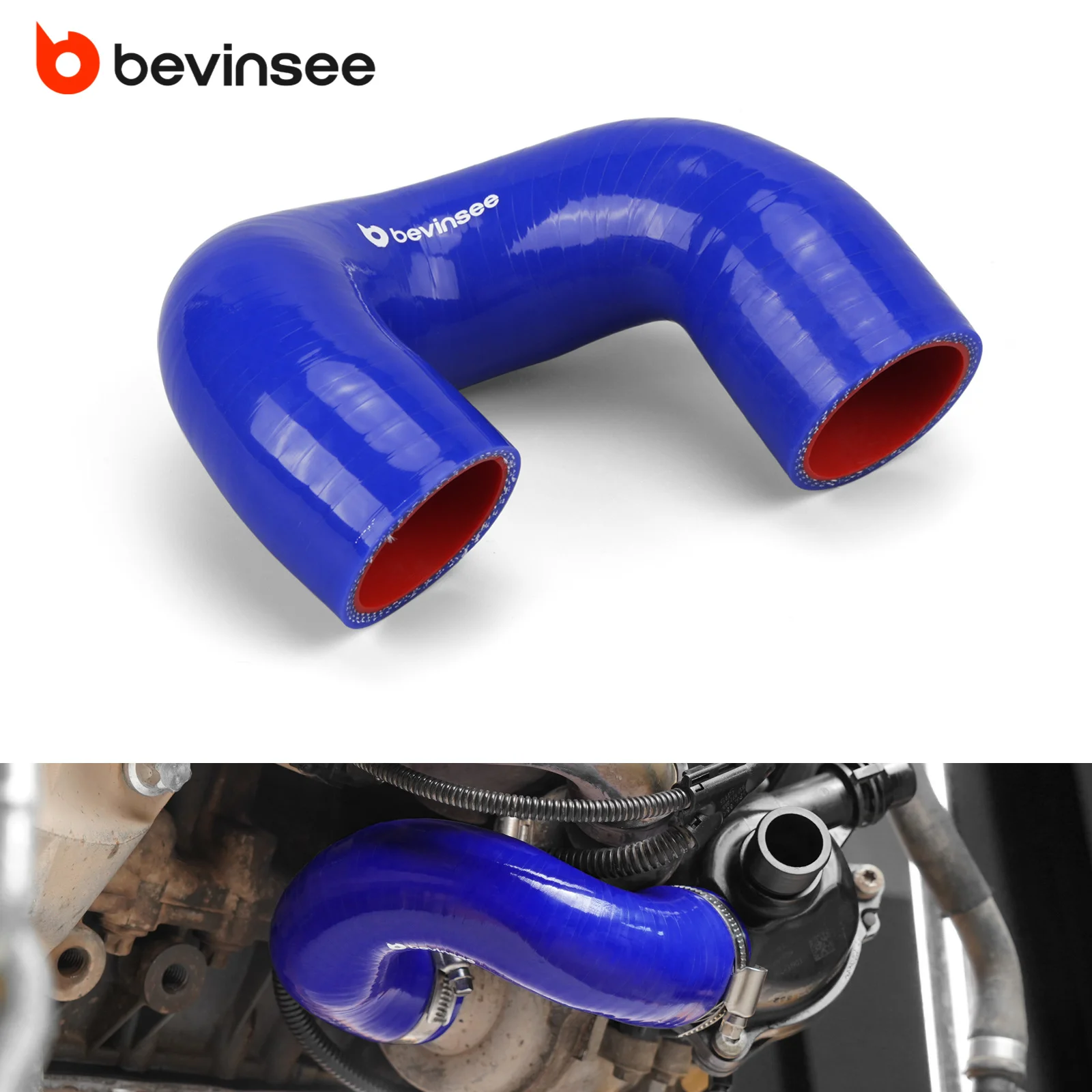 Bevinsee N52 Silico…