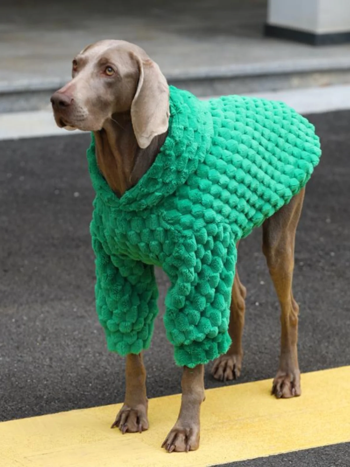 厚手のフリース両面ベルベット犬用パーカー、大型犬用ゴールデンレトリバーラブラドール冬服、犬用ジャケット
