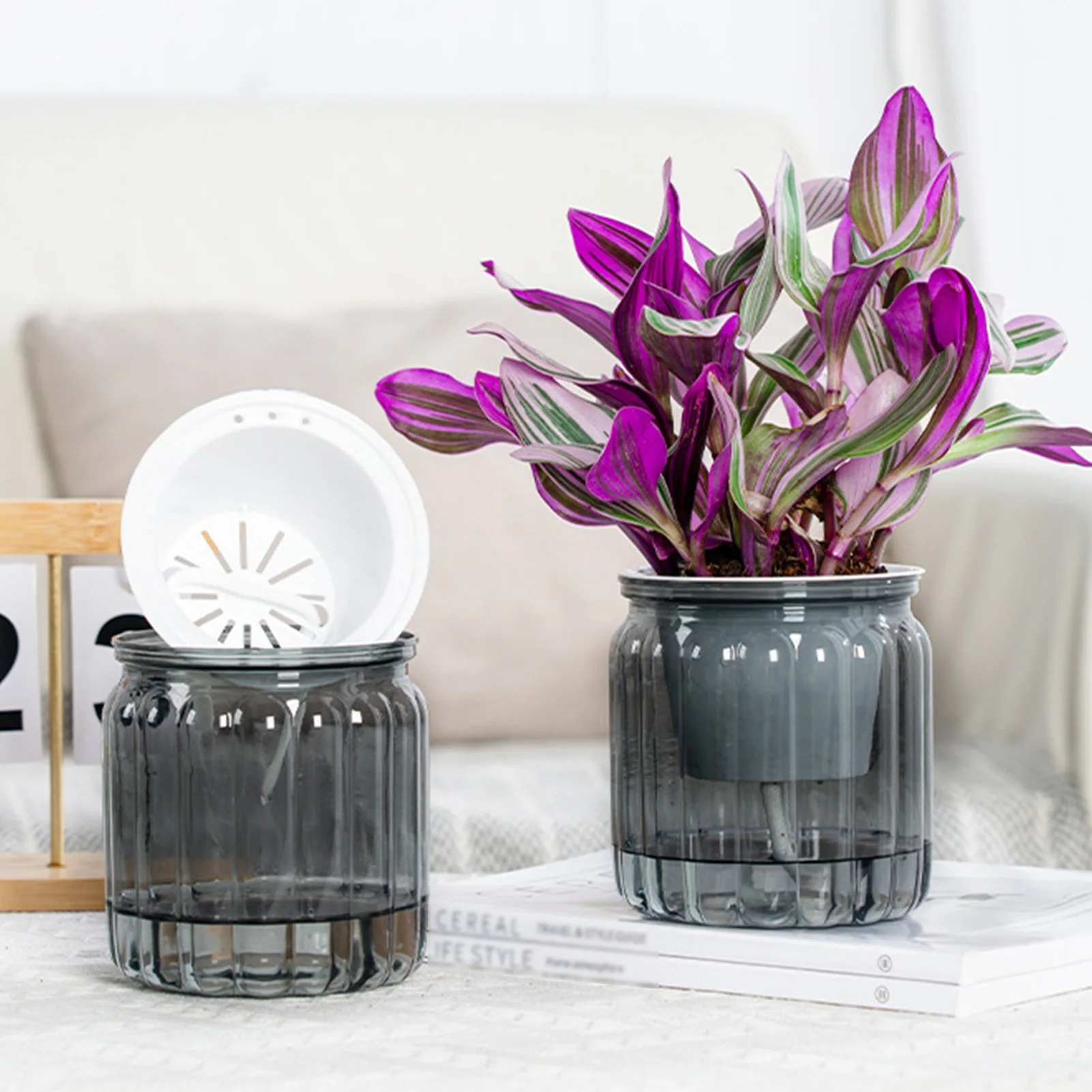 Home Self Watering Planters Translucent Stylish Water-saving Desktop Planter for Living Room Bedroom Study