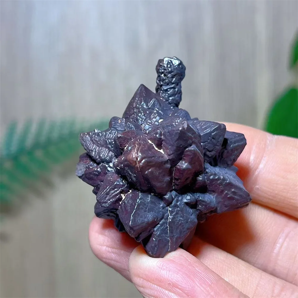 Prophecy Stone Quartz Specimen Crystal Natural Kong Kim Gemstone Spiritual Specimen Reiki Healing Minerals Home Decoration