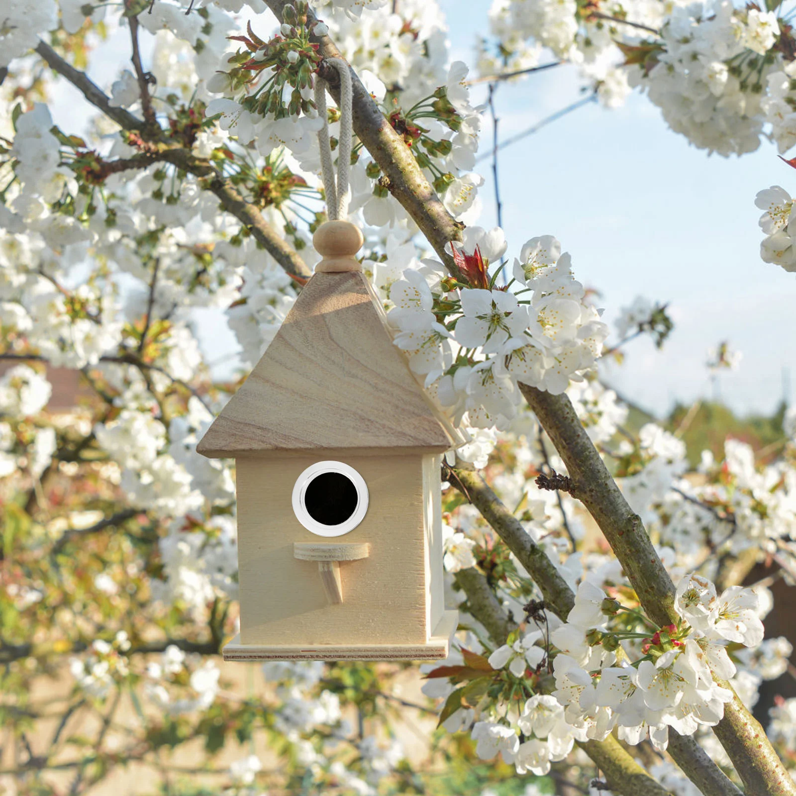 5 Pcs Bird Anti-bite Collar House Entrance Guards Portal Birdhouse Hole Protectors Breeding Case Ring Nest Metal Box