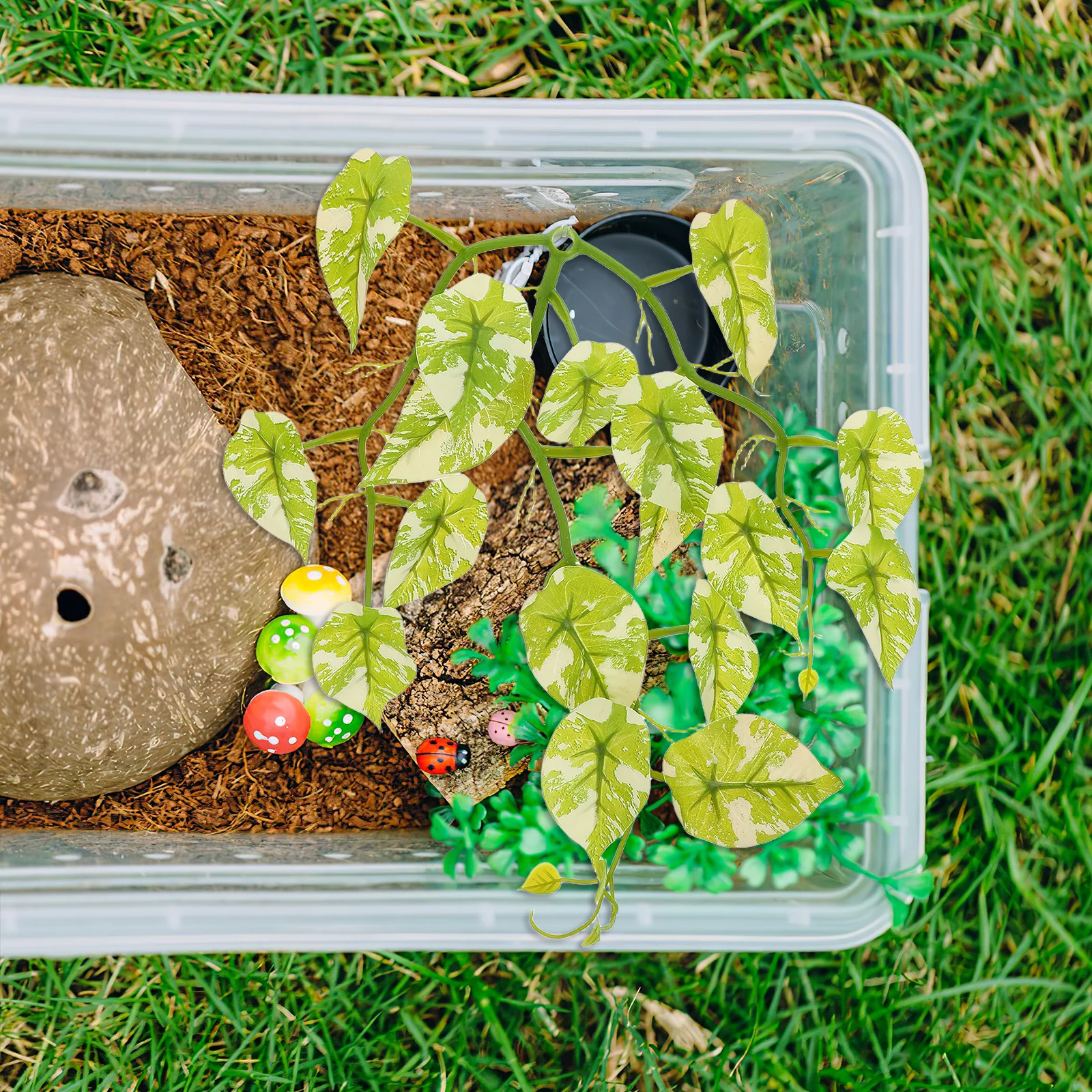 

Simulated Reptile Box Plants Fake Terrarium Decoration Vines Suction Cups ABS Durable Decor Home Office Aquarium