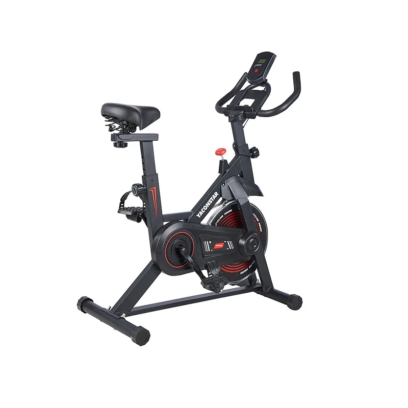 Customized Steel Spinning Bike for Home Gym with Magnetic Resistance and LCD Display