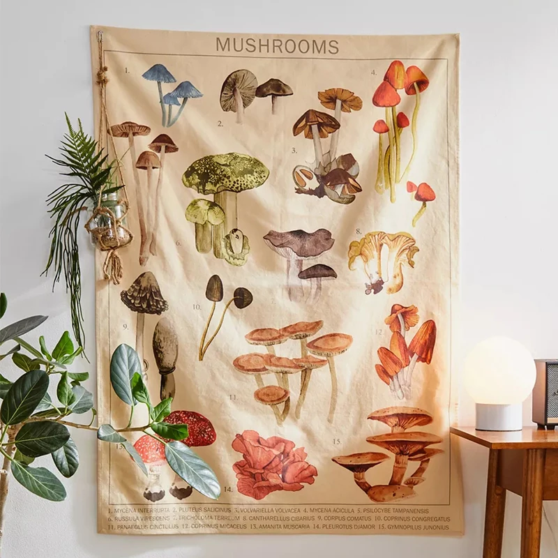 Quotes Mushroom Tapestry Wall Decor Mycology Mushroom Champignon Identification Chart Diagram Illustration Wall Art Boho Decor