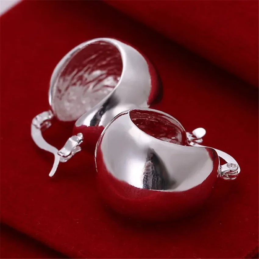 Hot Selling New Style Silver 925 Plated Earrings High Quality Jewelry Beautiful Ladies Favorite Wild Hook Earring