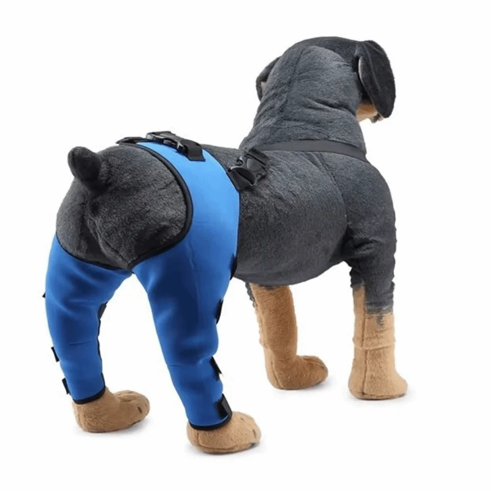 Adjustable Dog Knee Brace Breathable Comfortable Rear Leg Knee Brace with Reflective Strip Durable Dog Leg Support Brace