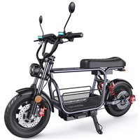 Iscooter DX5 Adult Electric Scooter 1500W 48V 15.6Ah Battery E Scooter 15 Inch Vacuum Inflatable Tires City Electric Scooter