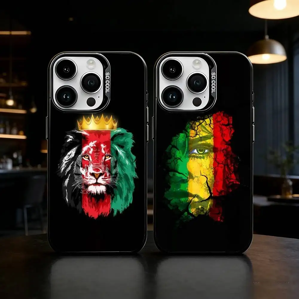 Flag of Afghanistan Phone Case For iPhone 17 16 15 14 13 12 11 Pro Max Plus Silver Matte Black Cover