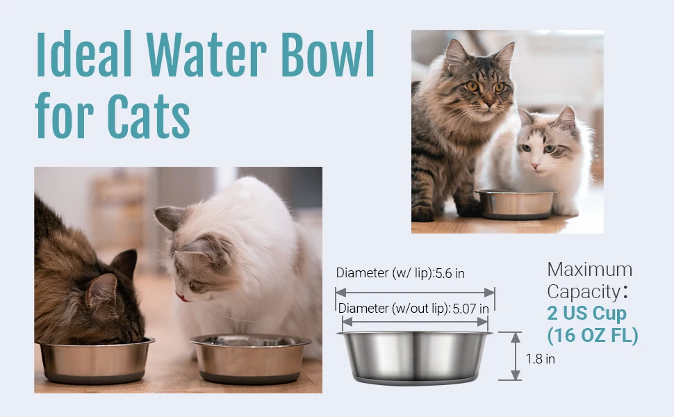 1 Stück Premium Edelstahl Katzen- und Hundenapf, Graue Rutschfeste Gummibasis, Spülmaschinenfest & Leicht zu Reinigen – Detail 4