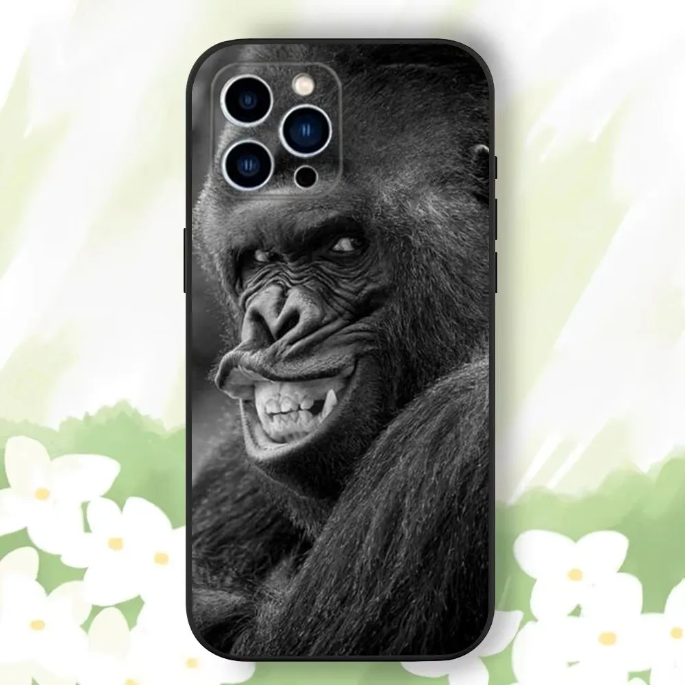 Monkey Sipping baboon Phone Case For iPhone 16,15,14,13,12,11 Plus,Pro Max,XS,X,XR,SE,Mini,8,7，Soft Silicone Black Cover