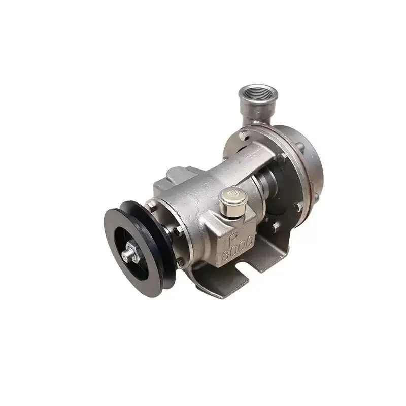 Marine Seawater Pump 2 Inch L Type, 1/2 Inch L Type Boat Water Pump for Ship Accessories