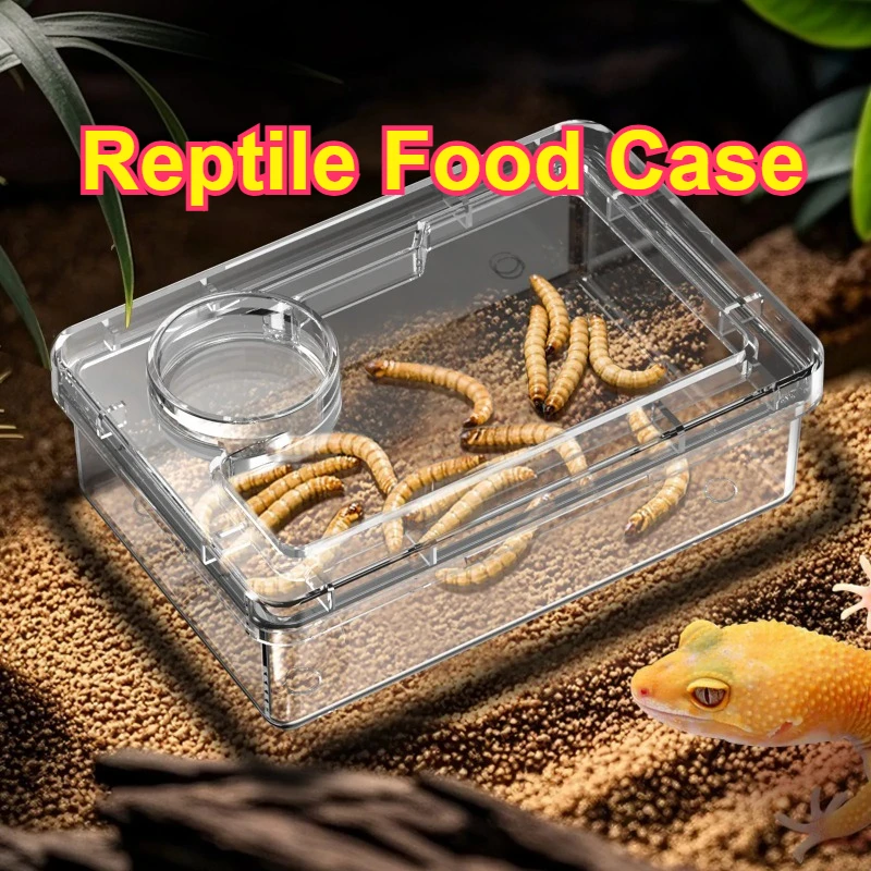 Reptile Use Anti-Escape Clear Feeding Supplies Feedstuff Insect Container Terrariums Accessories 2-in- Basin Food Water Bowl