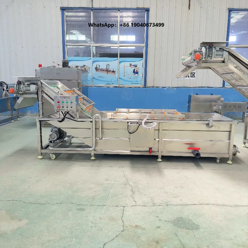 Commercial Seed Leaf Fruits Vegetables Spray Cleaning Washing Sorting Machine Cleaner Washer FWX