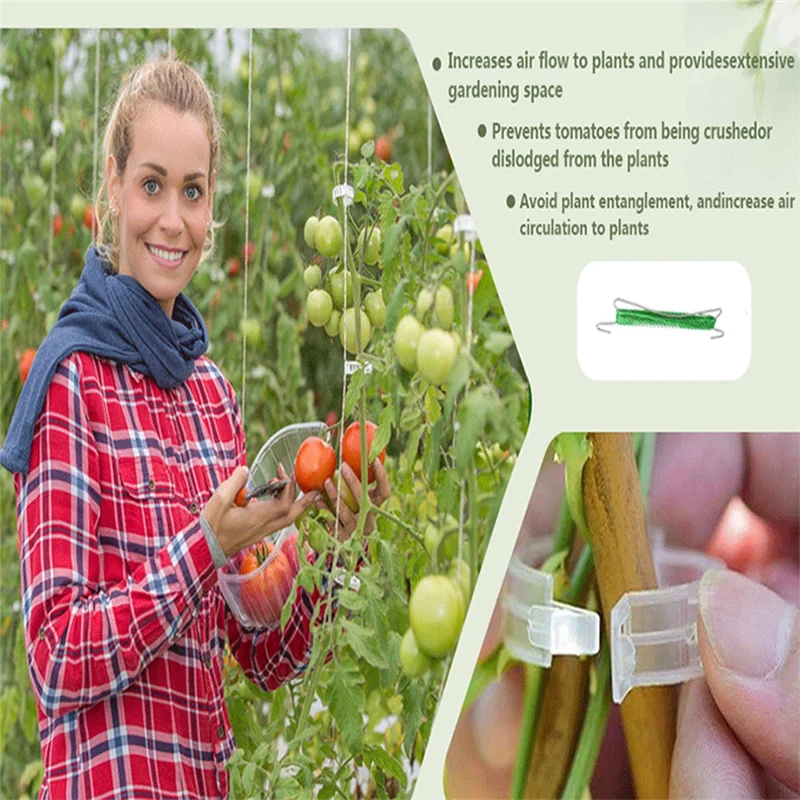 ABRE-Tomato Hook Set With Cord, Pack Of 40, 40 Plant Buckles, Tomato Hooks, Garden Hooks, Plant Bender Clips