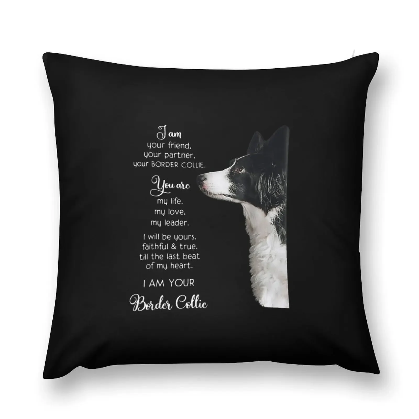 Funny I Am Your Friend Your Partner Your Border Collie Gift Throw Pillow Pillow Cases pillow