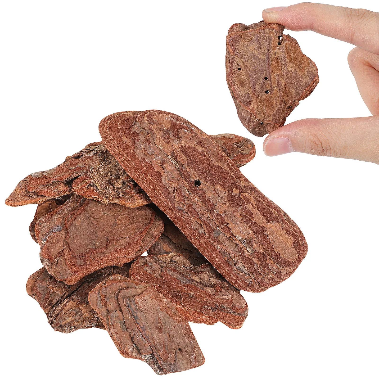 1 حزمة 500 جرام صندوق الزواحف المواد المناظر الطبيعية الصنوبر النباح للزواحف صندوق تغذية ديكور خزان السلاحف الغابات المطيرة زخرفة الحيوانات الأليفة