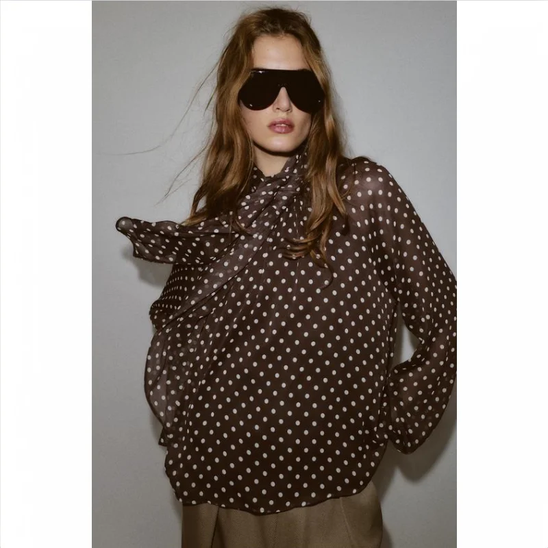 

Women's Elegant Polka Dot Shirt with Bow Collar Long Sleeved Chiffon Shirt Retro Office Casual Transparent Loose Top