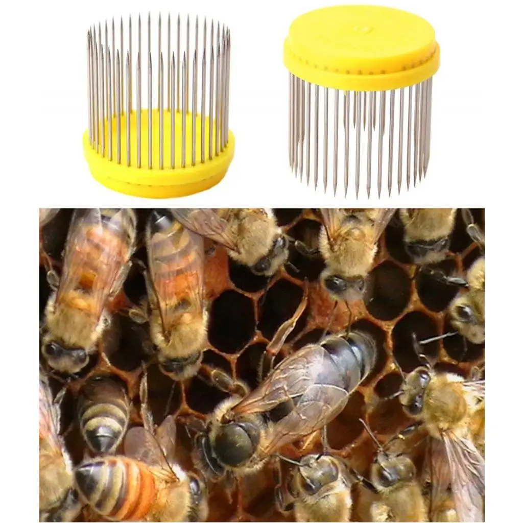Bee Catching Tool Plastic Queen Bee Cage Marking Beekeeper Materials for Beekeeping Box Kit