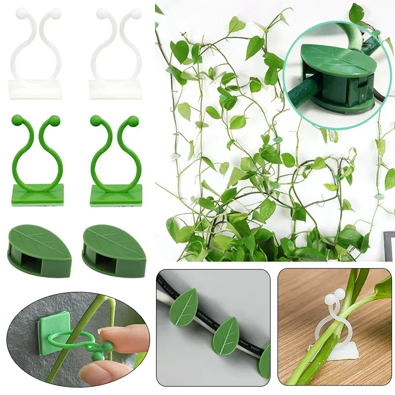 Plant Climbing Wall Fixture Clip Rattan Vine Fixer Self-Adhesive Hook Invisible Garden Binding Wall Sticky Holder Bracket Buckle