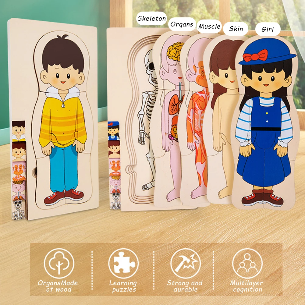

Игрушка-головоломка человеческого тела Монтессори для детей, обучающая игрушка-головоломка для мальчиков и девочек