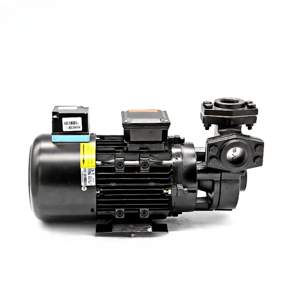 Circulating High Temperature Hot Oil Pump, Mold Temperature Machine Hot Water Pump, Fuel & Oil Transfer Pumps